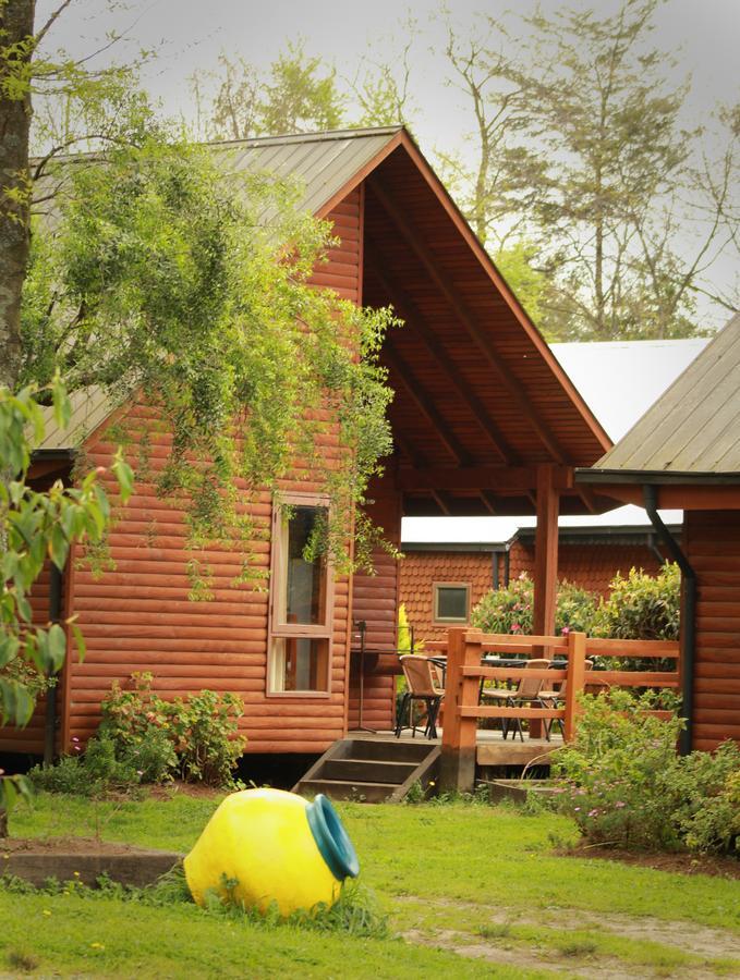 Cabanas Risso Vila Villarrica Exterior foto